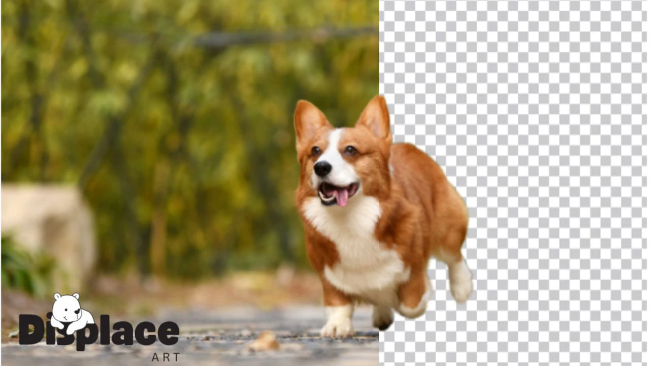 Odysee banner for @displace