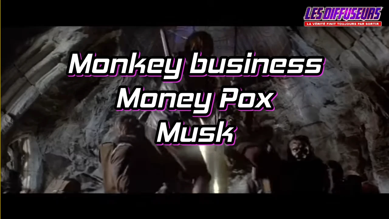 Monkey Business, Money Pox, Musk, par Capitaine Cosmos. LIVE!