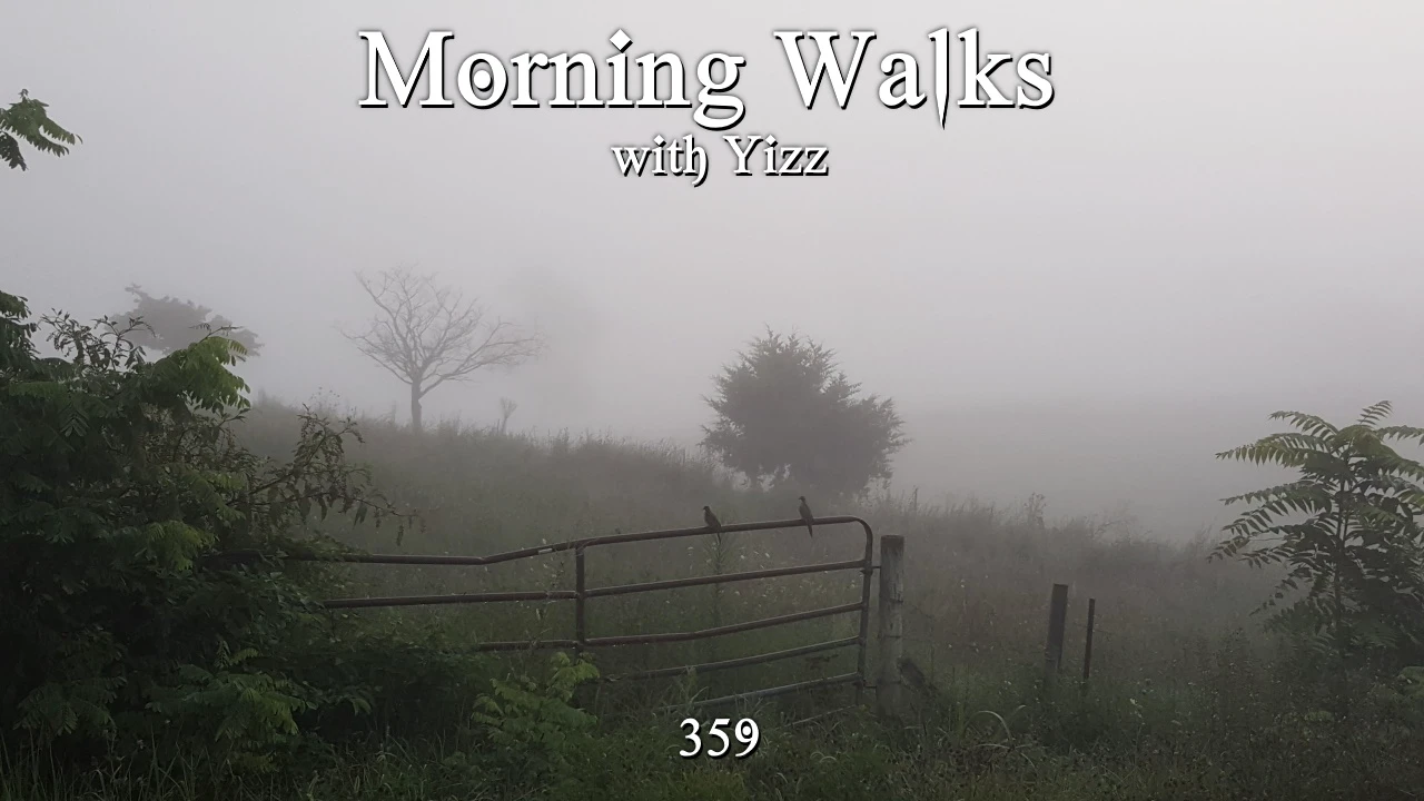 Morning Walks with Yizz 359 episode artwork