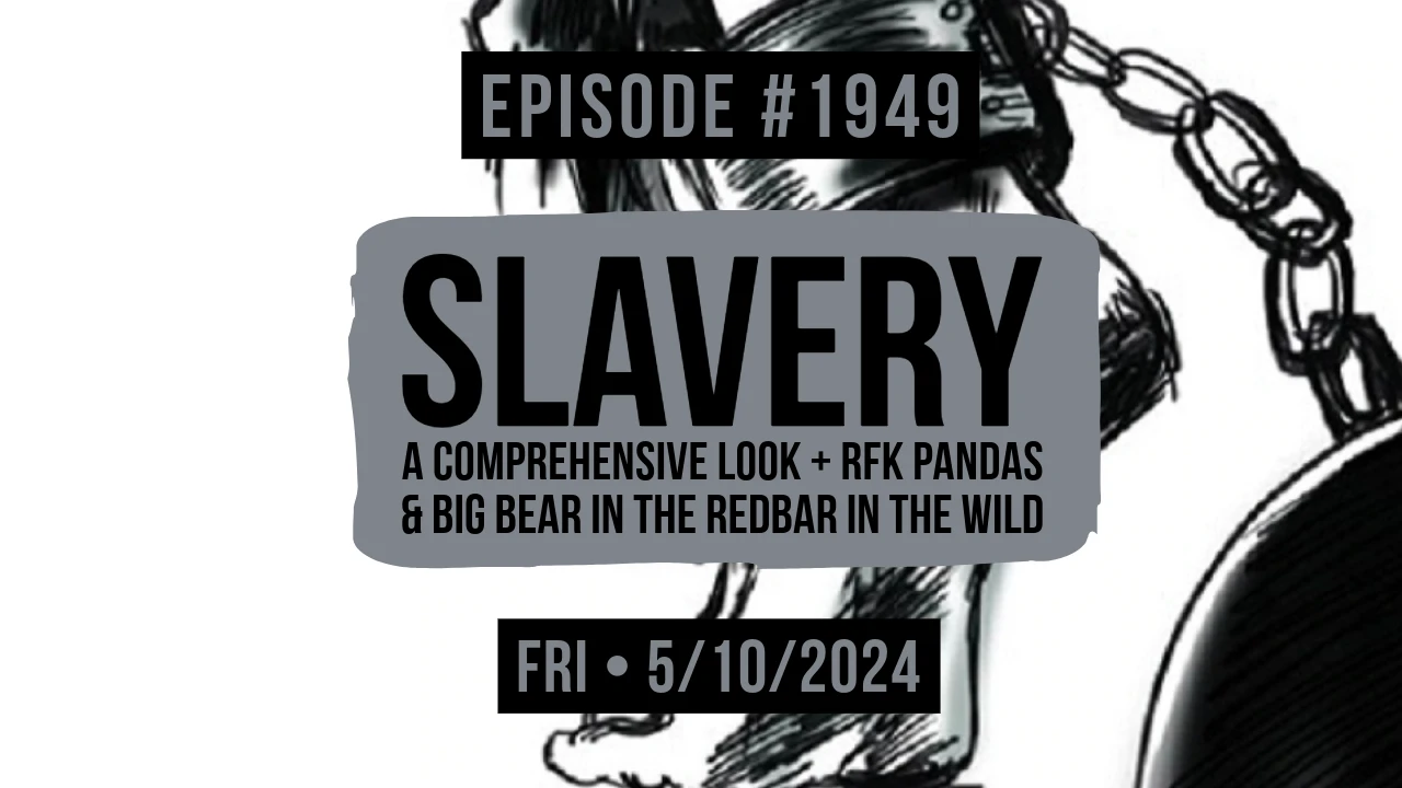 Owen Benjamin | #1949 Slavery - A Comprehensive Look + RFK, Pandas & Big Bear In The Redbar In The Wild