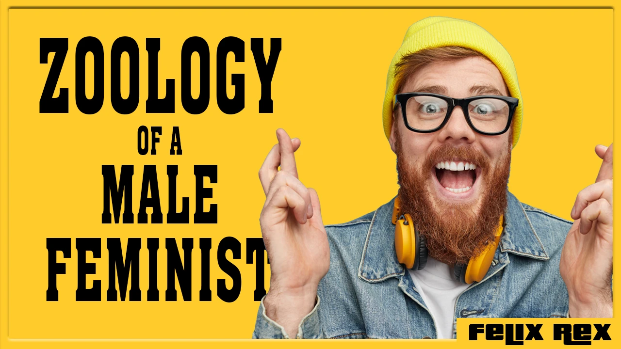 Zoologist Explains Male Feminists thumbnail