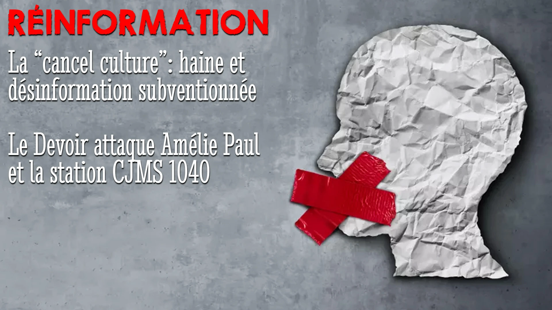 RÉINFORMATION 04/04/2022 – HAINE SUBVENTIONNÉE: LE DEVOIR ATTAQUE AMÉLIE PAUL