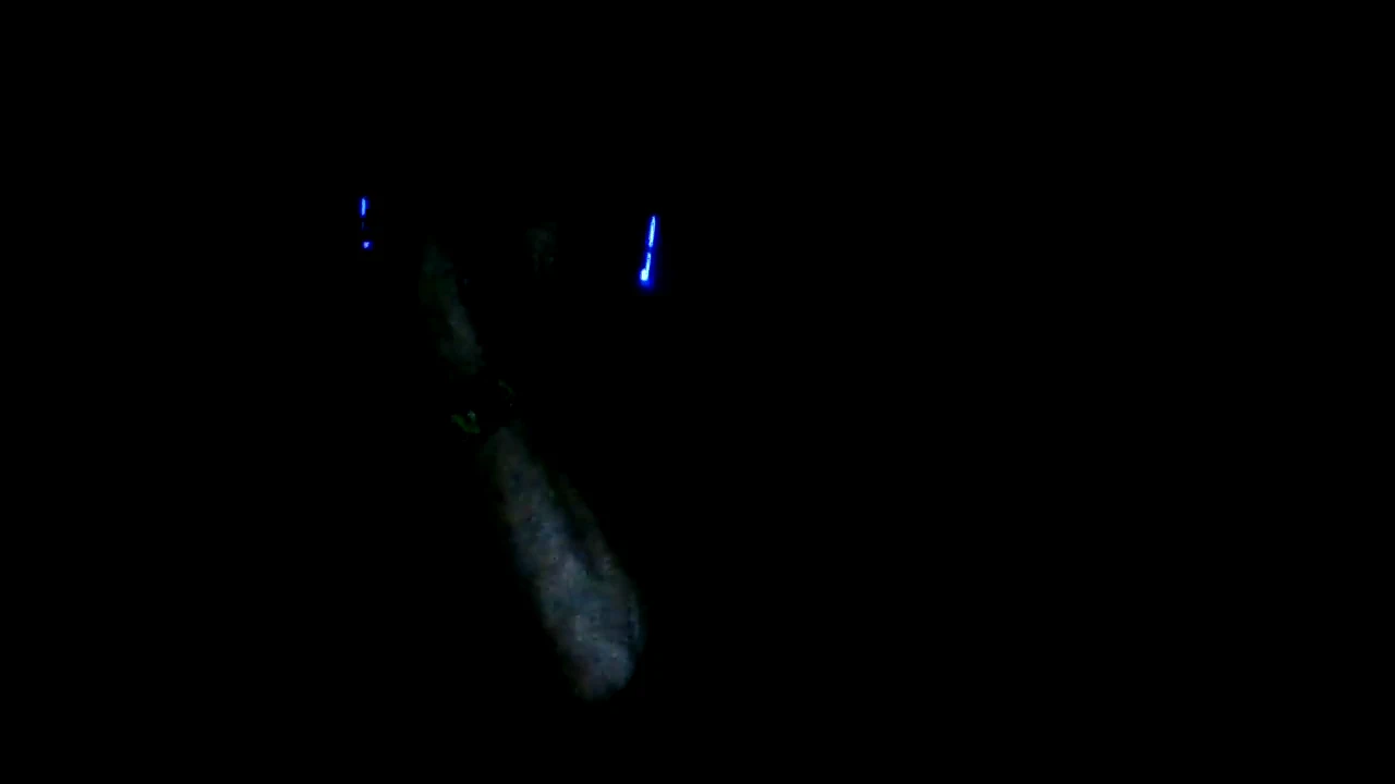 2021-5-22 Late night recording session