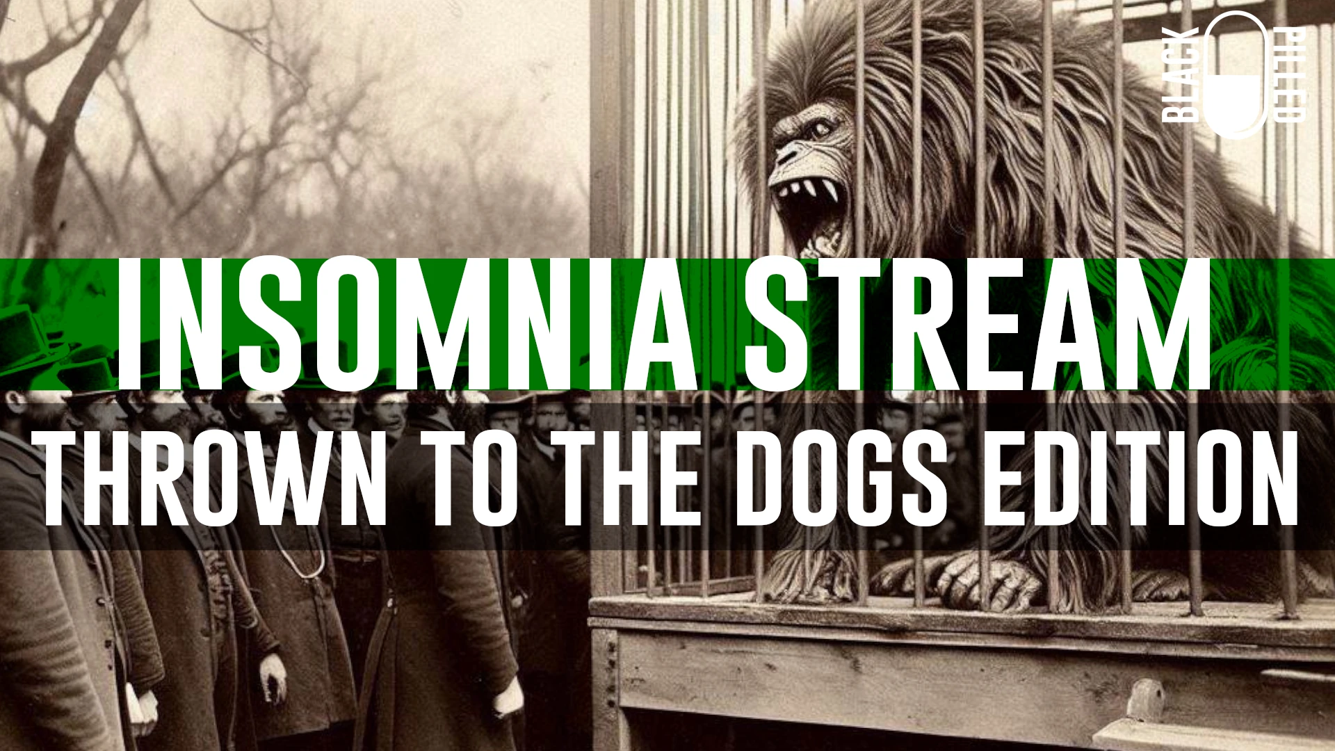 INSOMNIA STREAM: THROWN TO THE DOGS EDITION