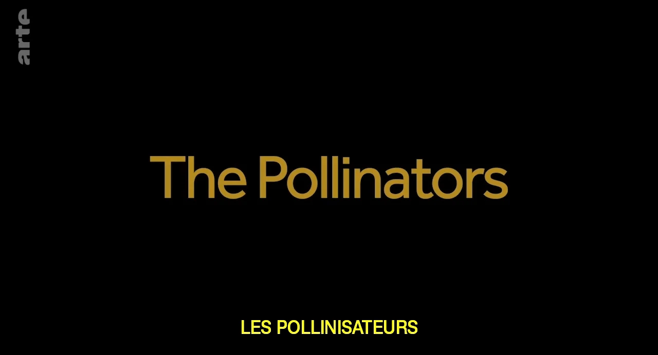 Les Pollinisateurs – VOSTFR [DOC 2020]