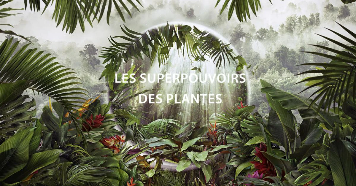 Les Superpouvoirs Des Plantes – EP02/05 – Lacs Et Rivières [DOC 2022]