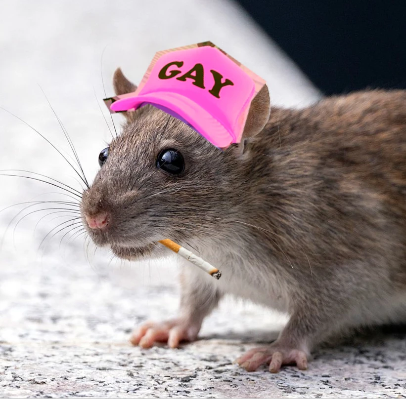 Odysee profile picture for @gayRat