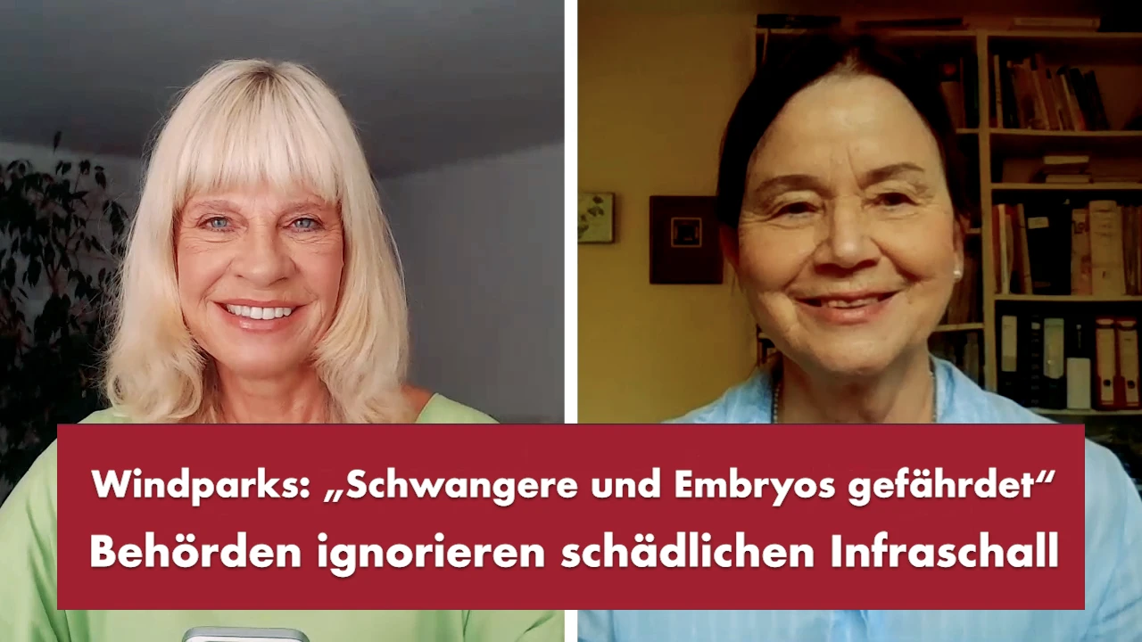 Punkt.PRERADOVIC on Odysee