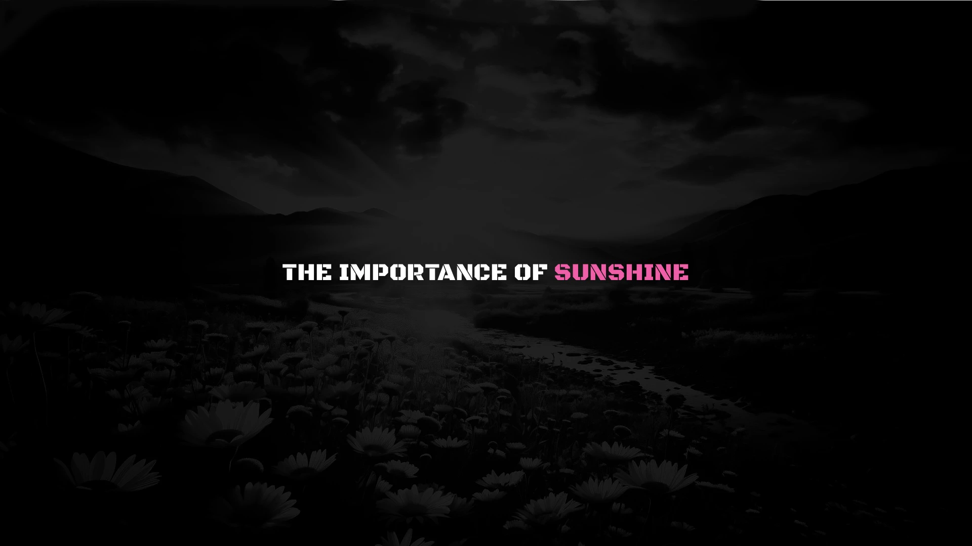 Zaid Dahhaj on the importance of sunlight thumbnail