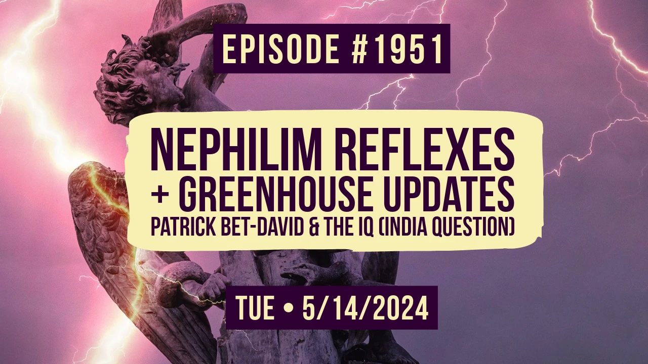 Owen Benjamin | #1951 Nephilim Reflexes + Greenhouse Updates, Patrick Bet-David & The IQ (India Question)