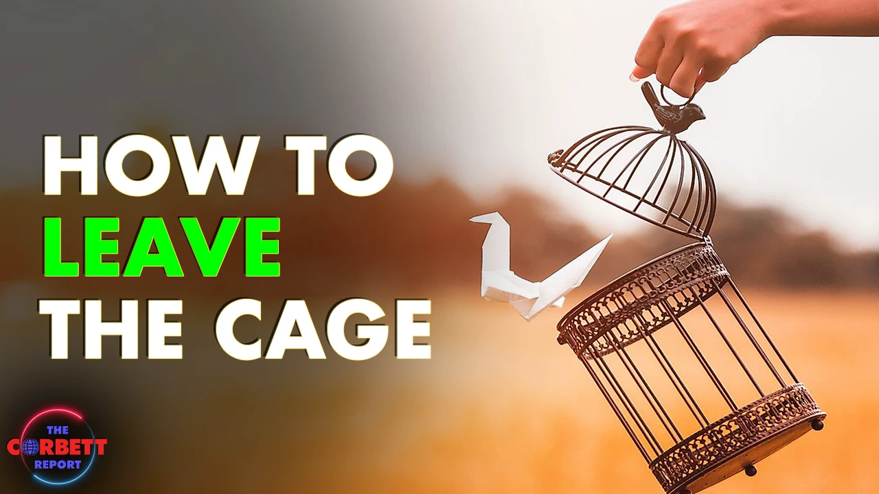 How to Leave the Cage - #SolutionsWatch thumbnail