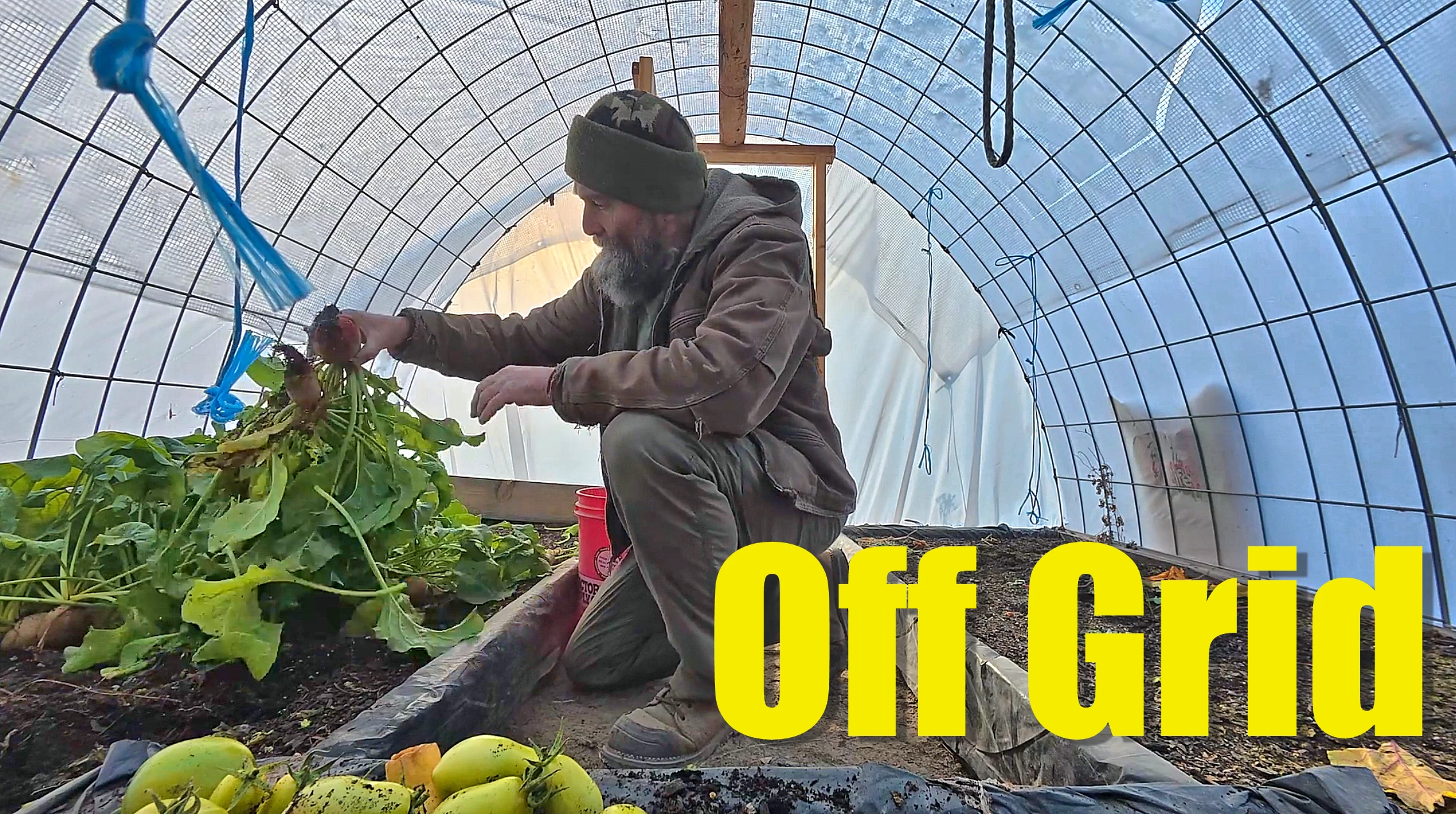 Living off grid - greenhouse conversion and winter preps