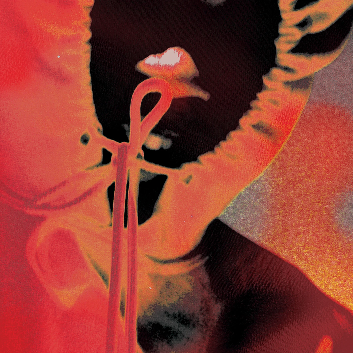 Odysee profile picture for @flammable