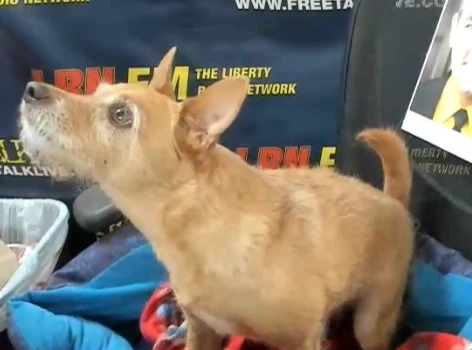 Mark at Freedom Fest Interviews Part 2