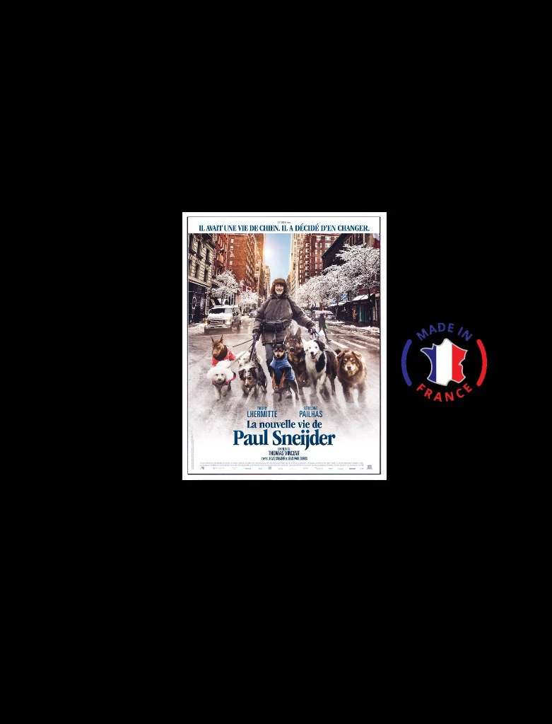 La Nouvelle Vie De Paul Sneijder.2016 (France Film HD)