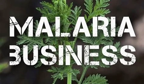 Malaria business : les laboratoires contre la médecine naturelle ?