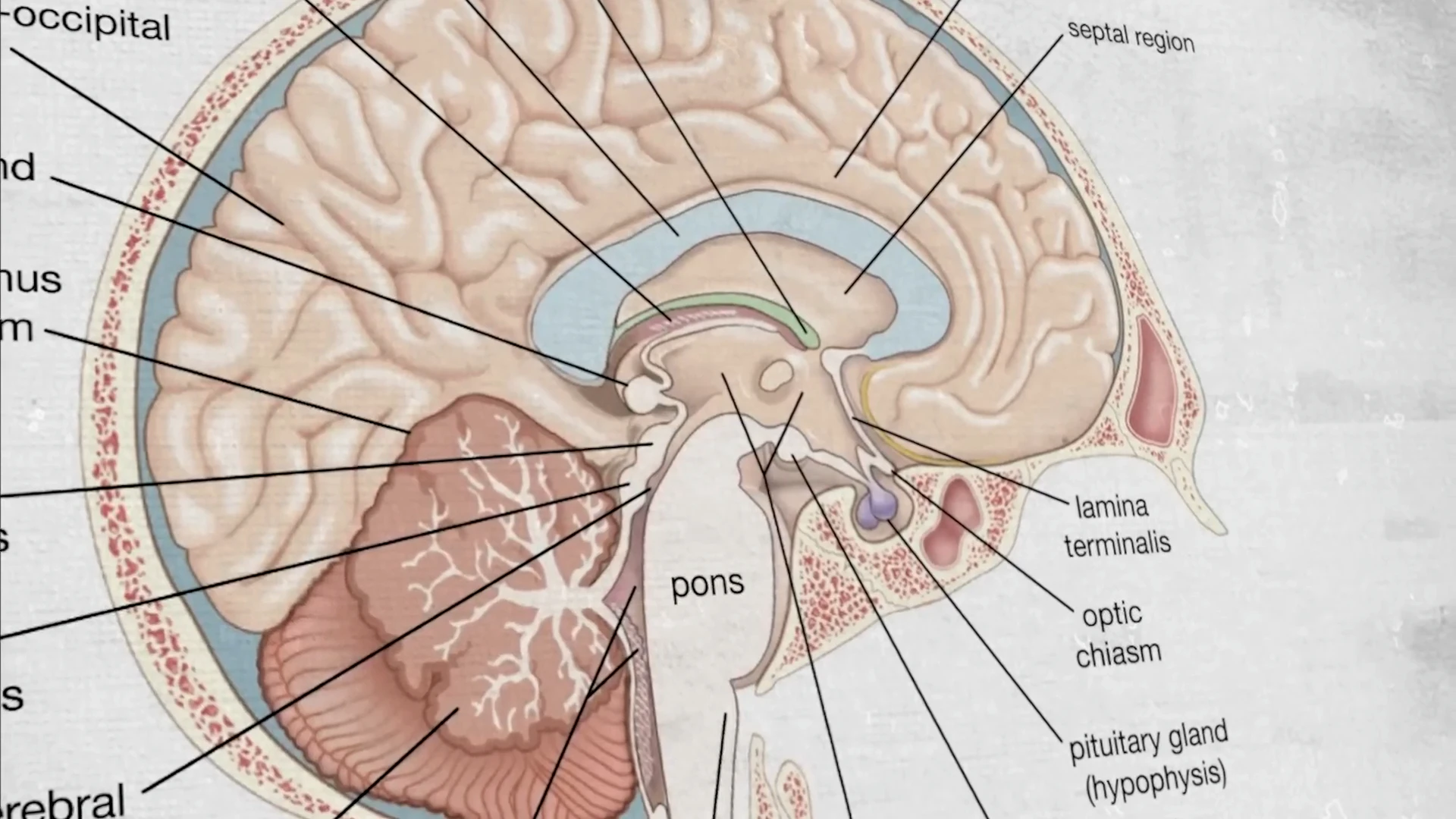 How to Activate Your Third Eye