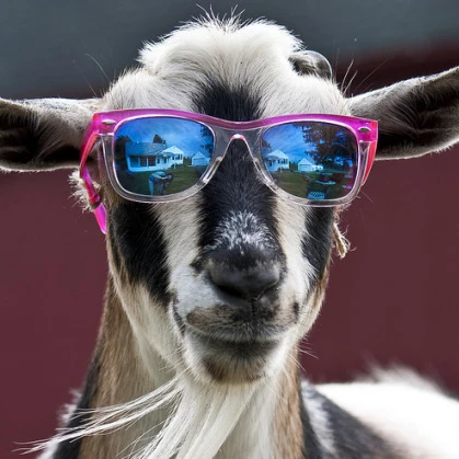 Odysee profile picture for @goats