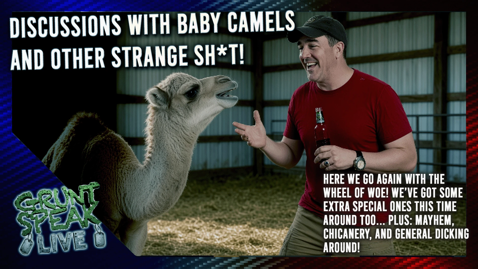 Discussions With Baby Camels!  episode artwork