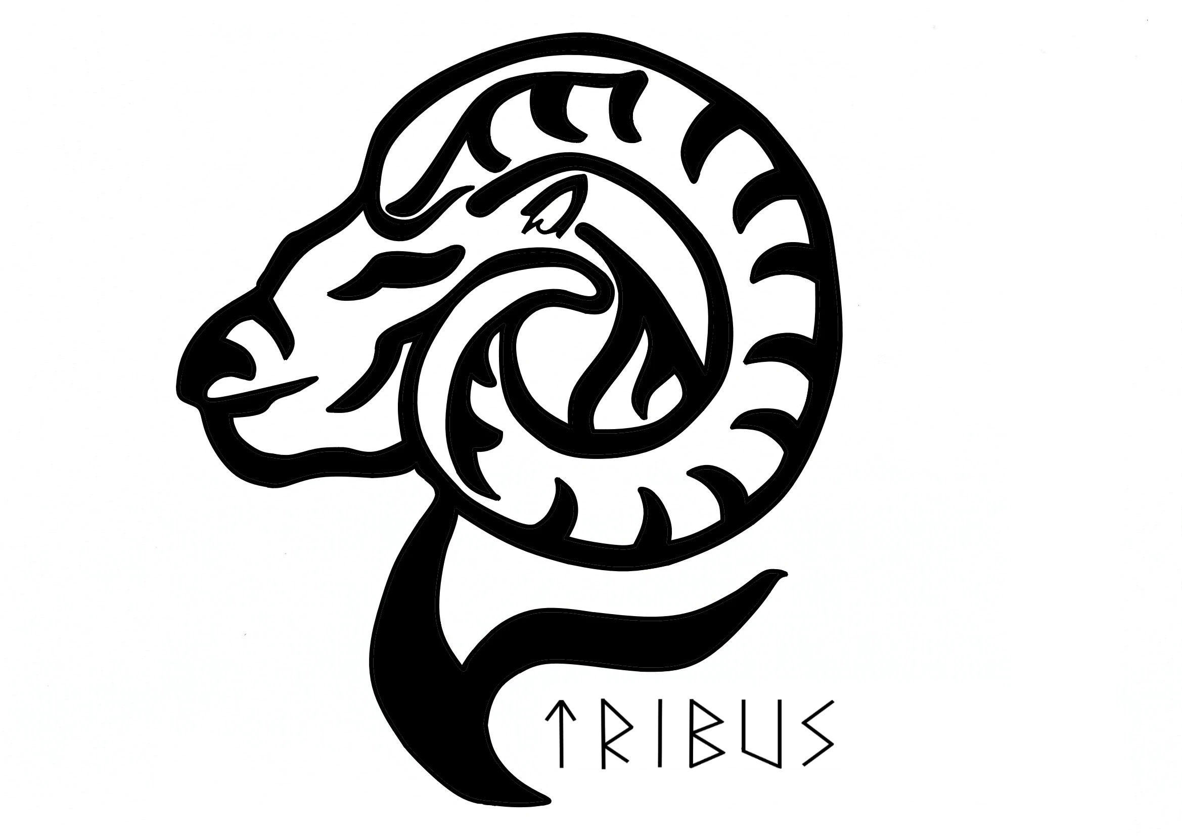 Odysee profile picture for @Tribus