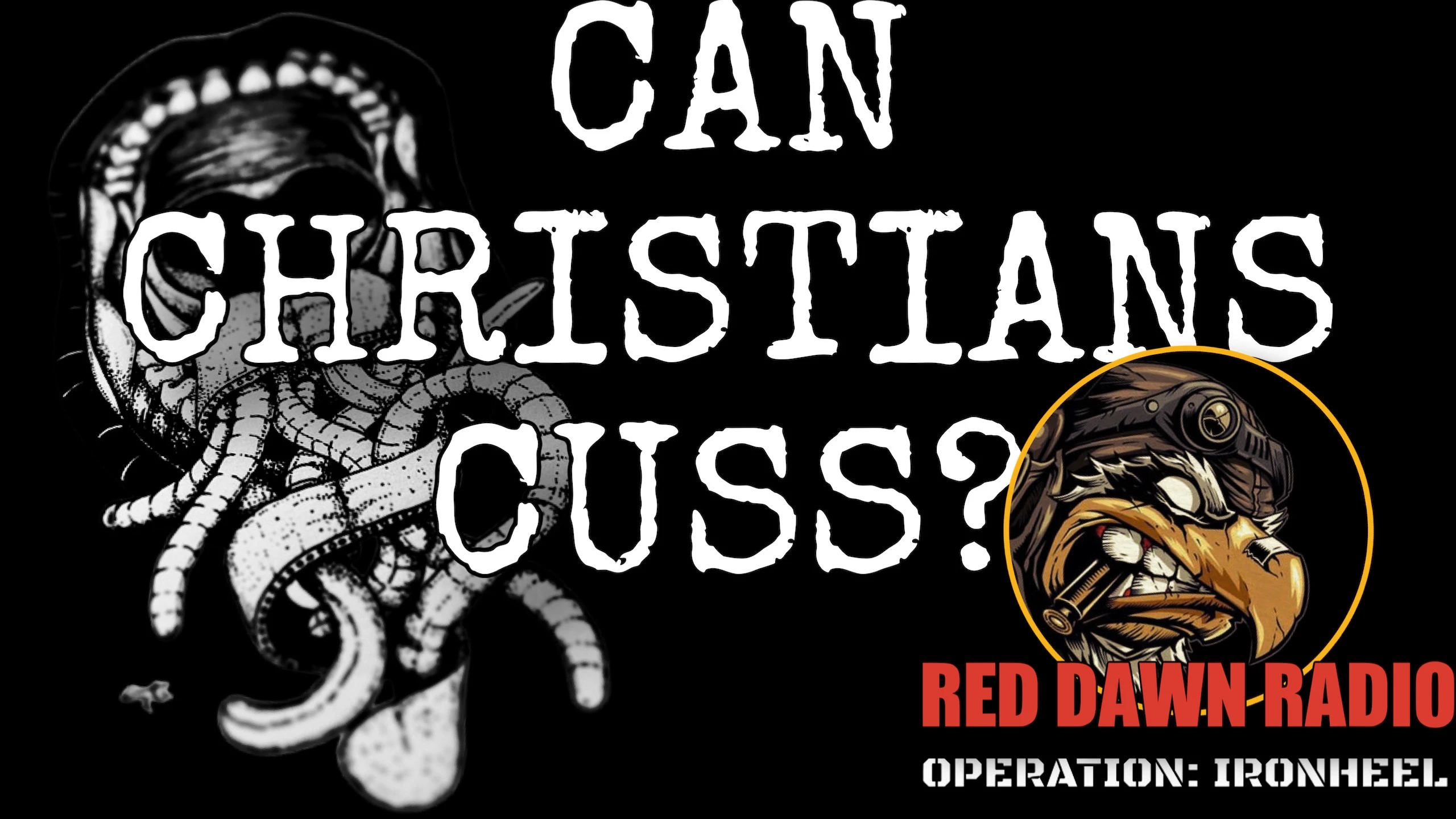 OPERATION IRONHEEL: IS CUSSING A SIN?