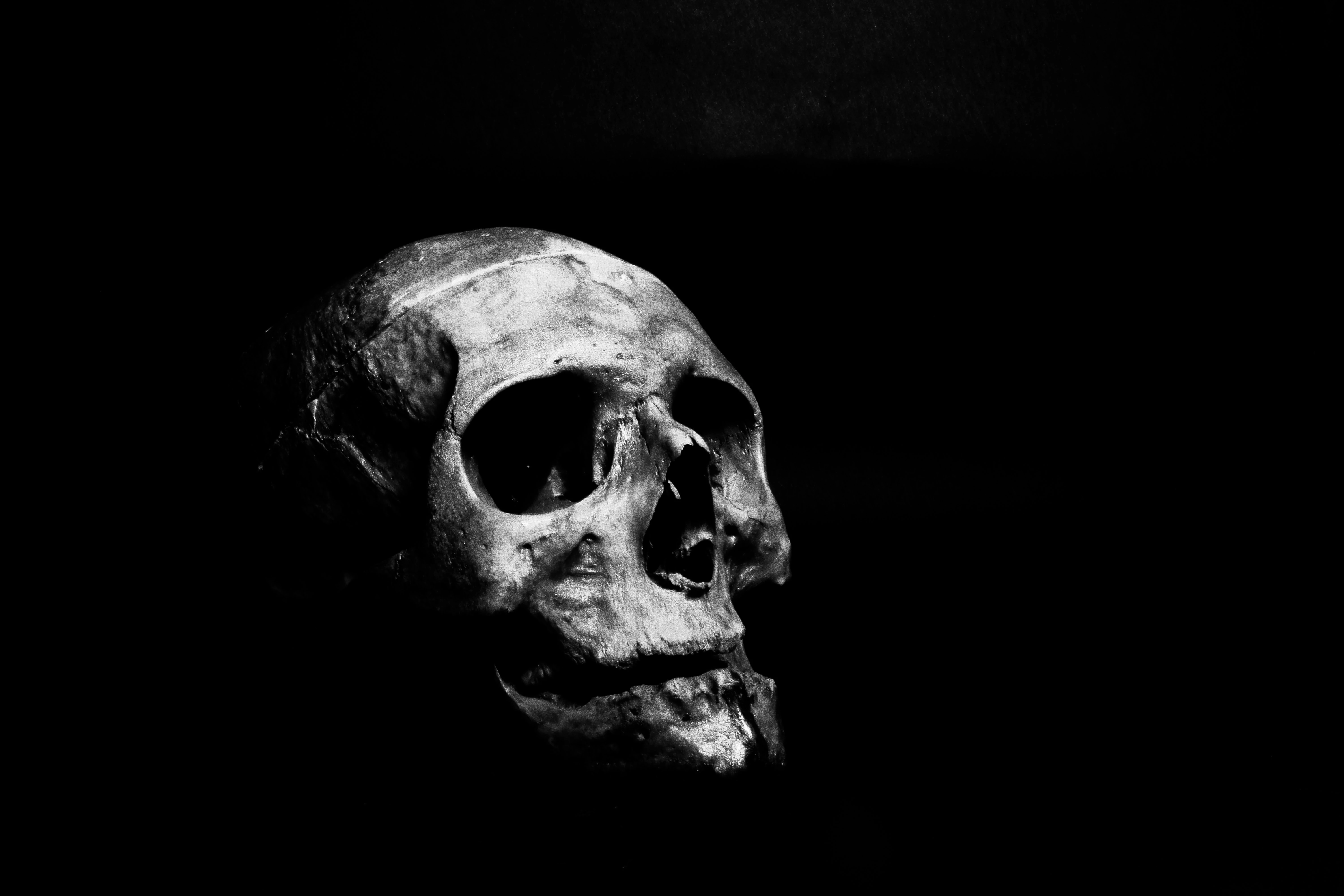 Odysee profile picture for @Haunt