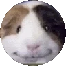 Odysee profile picture for @Pasta