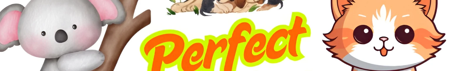 Odysee banner for @Companions
