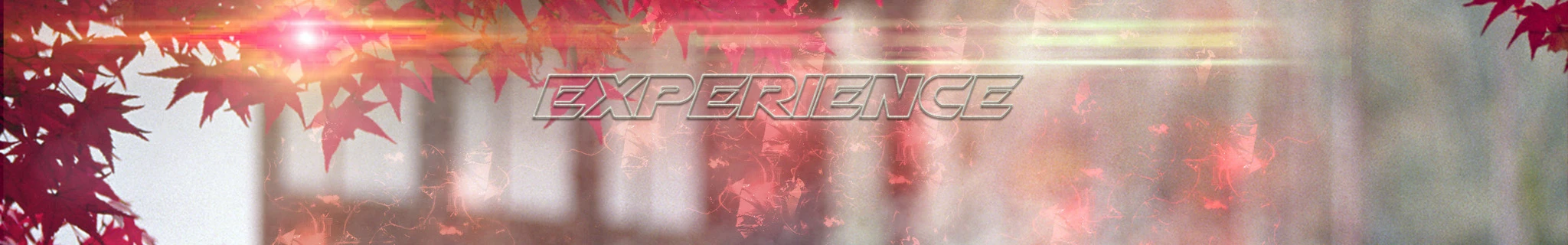 Odysee banner for @Experience