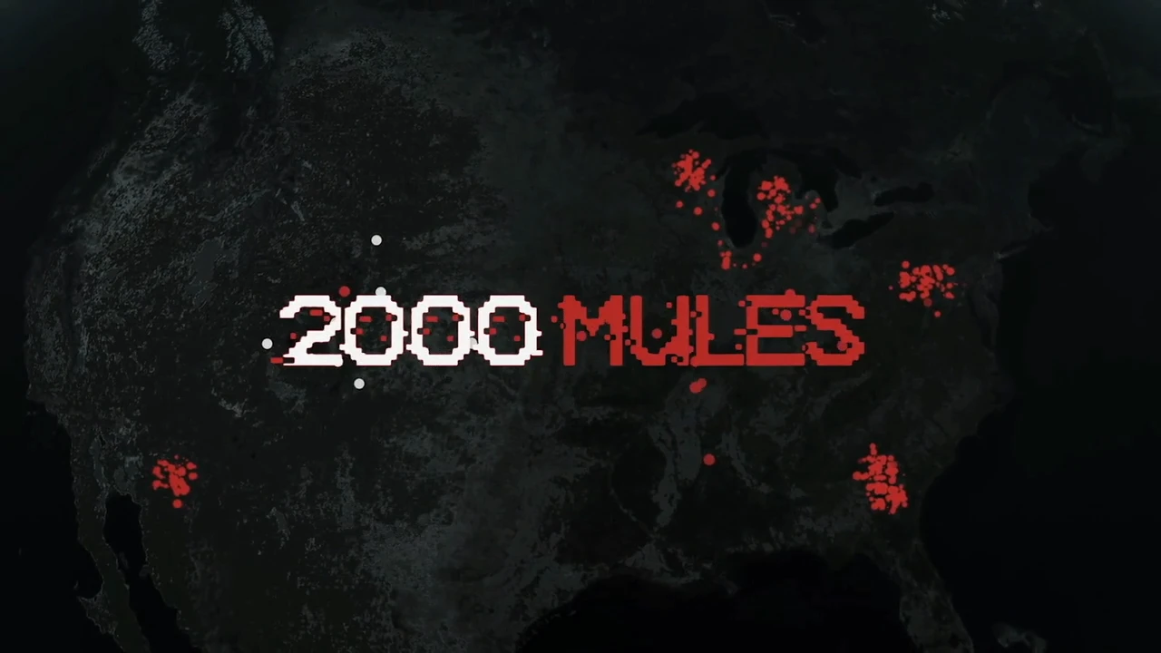 2000 Mules – VF [DOC 2022]