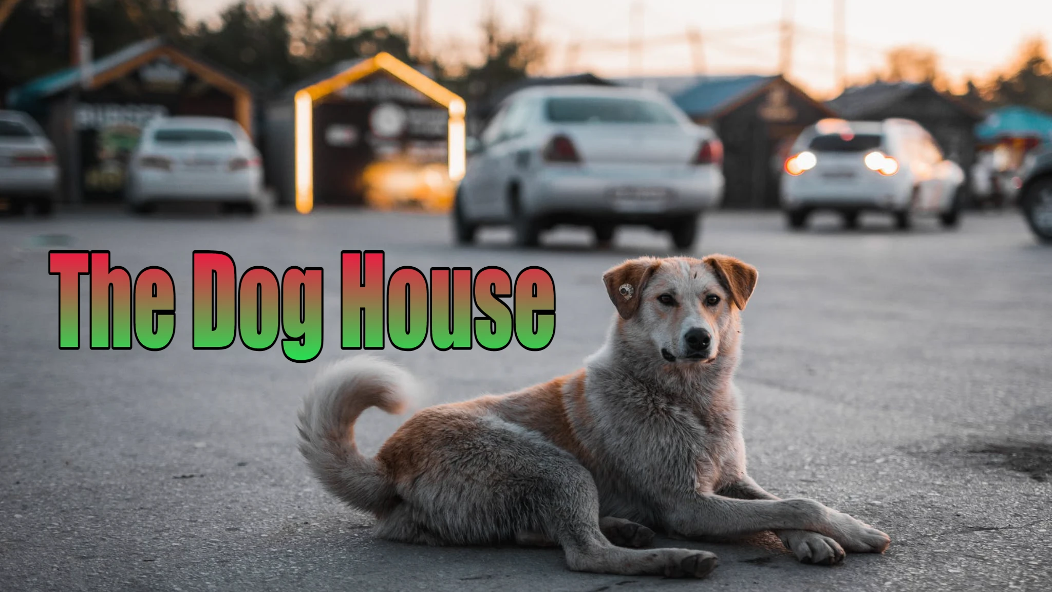 Odysee banner for @DogHouse