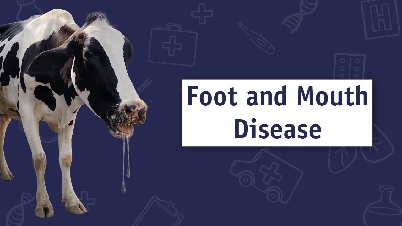 The Dark Side of Foot-and-Mouth Disease