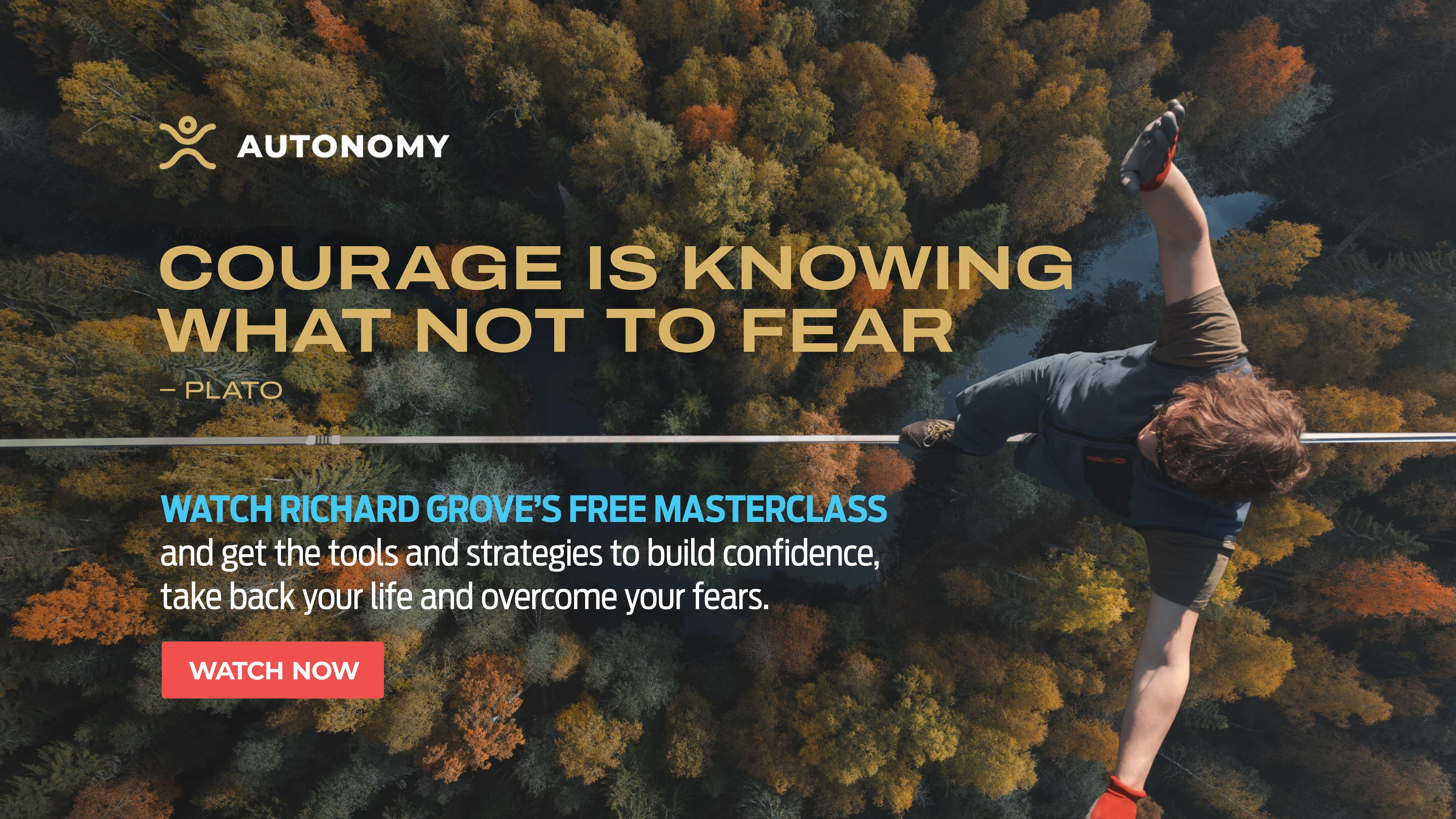 Forensic Discernment: The Architecture of a Fear-Free Lifestyle 🛡️