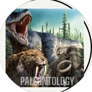 Odysee profile picture for @Paleontology
