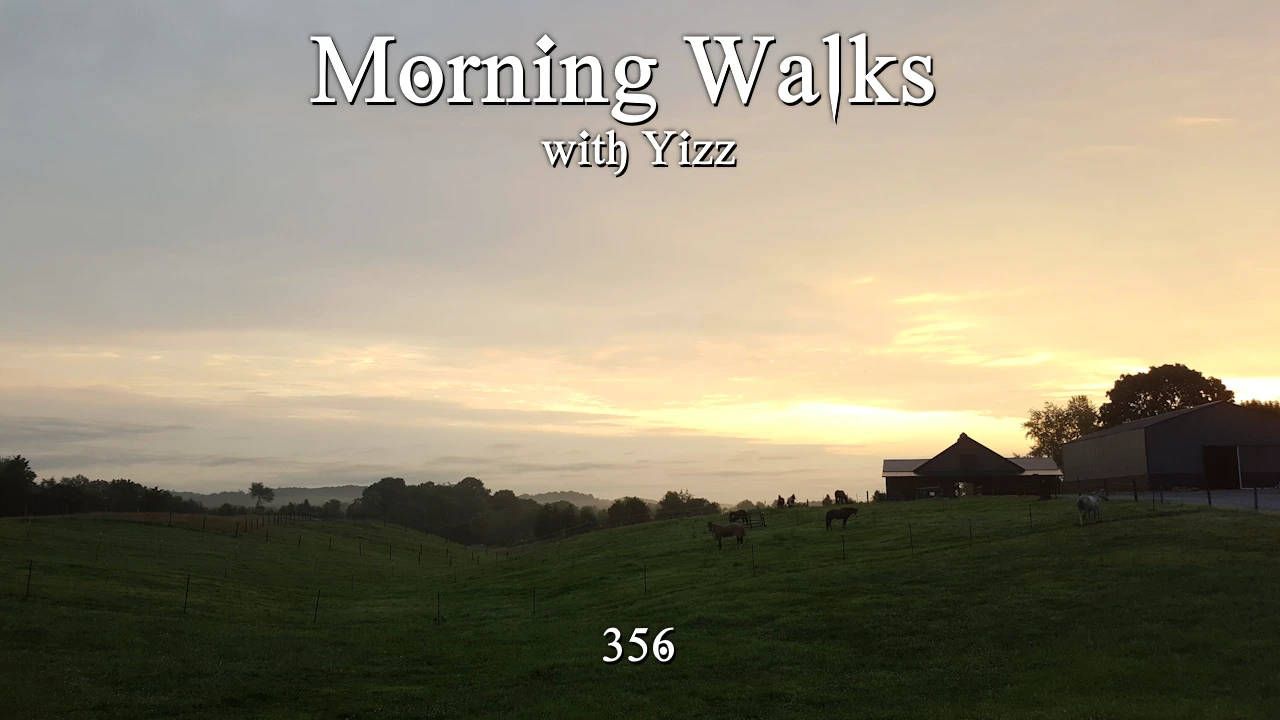 Morning Walks with Yizz 356 episode artwork