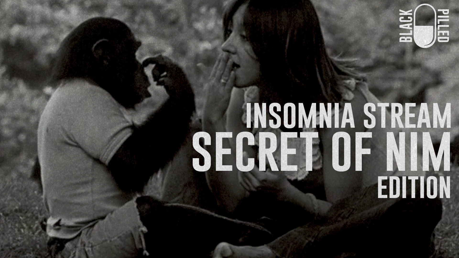INSOMNIA STREAM: SECRET OF NIM EDITION episode artwork