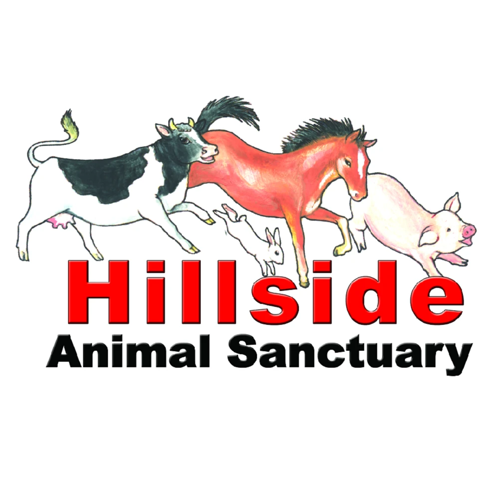 Odysee profile picture for @hillside
