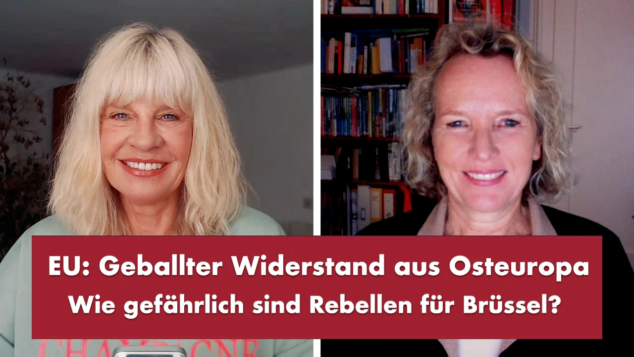 Punkt.PRERADOVIC on Odysee