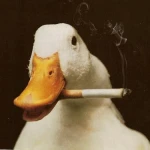 Odysee profile picture for @keen