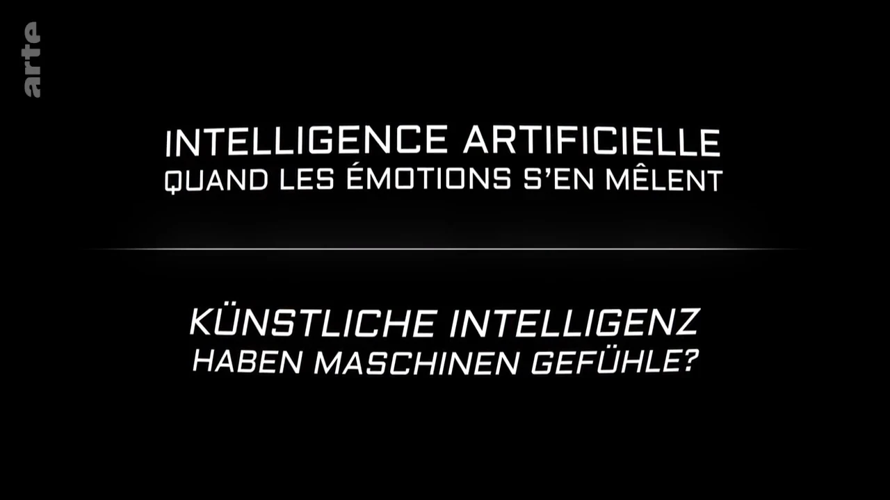Intelligence artificielle – Quand les émotions s’en mêlent [DOC 2021]