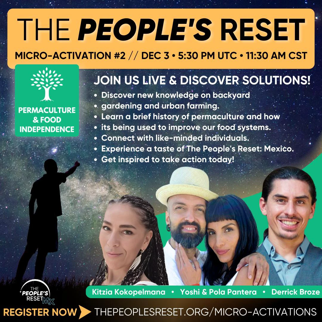 The People\'s Reset Activation on Odysee