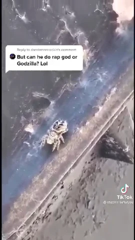 2021-9-2 Spider Raps Godzilla